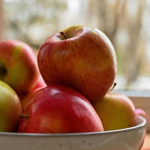 pexels-vincentphotography-16169178jpg