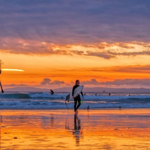 pexels-thepaintedsquare-3600595jpg